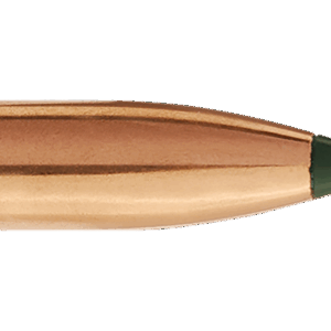 22CAL 55GR SPT VARMINTER